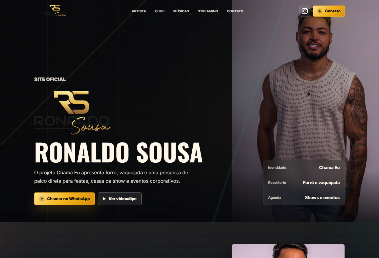 Site oficial do artista Ronaldo Souza